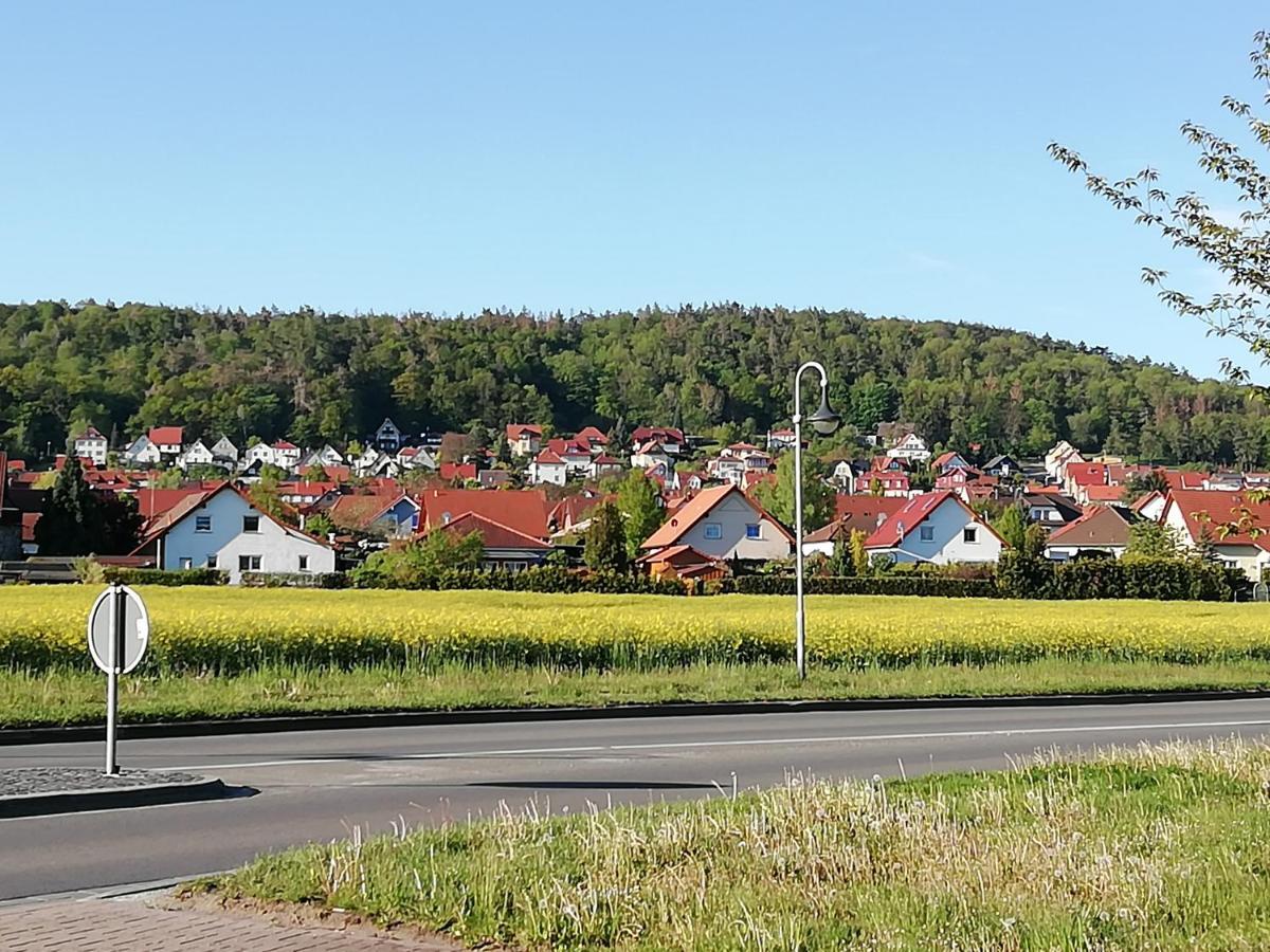 Ferienwohnung 40Qm Gernrode Gernrode  Eksteriør bilde